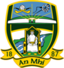 Meath Football crest